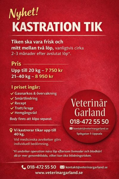 58EA3164-9133-481D-8367-BD82C9892ECA