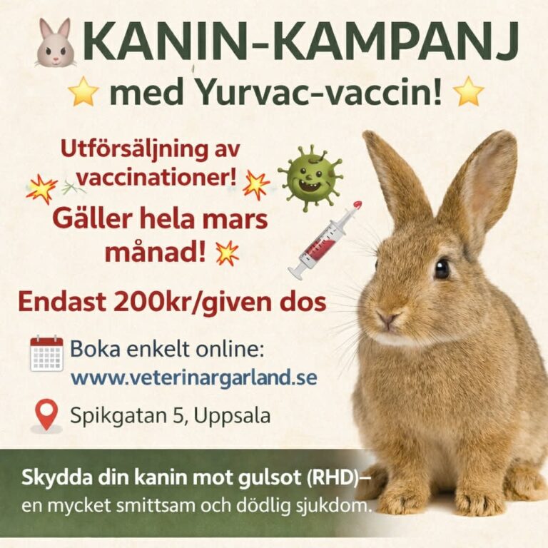 8e0ab8bd-94c1-4585-9280-2755df1a9769